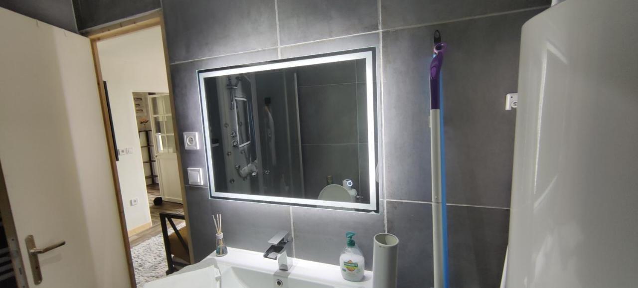 Hebergements Entiers Two Homes T1 Bas Or T1 -aux Terrasses Du Pech Apartment Foix