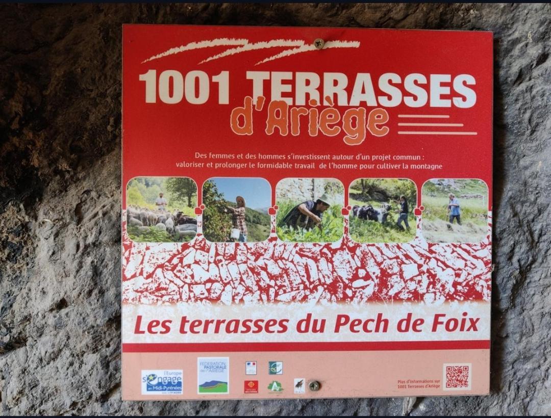 Apartment Hebergements Entiers Two Homes T1 Bas Or T1 -aux Terrasses Du Pech